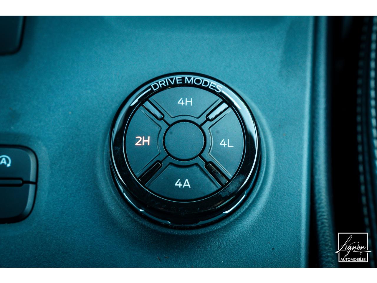Photo FORD RANGER Platinum 3.0 V6 EcoBlue - 240 - BVA - AWD  2024 DOUBLE CABINE TVA Apparente