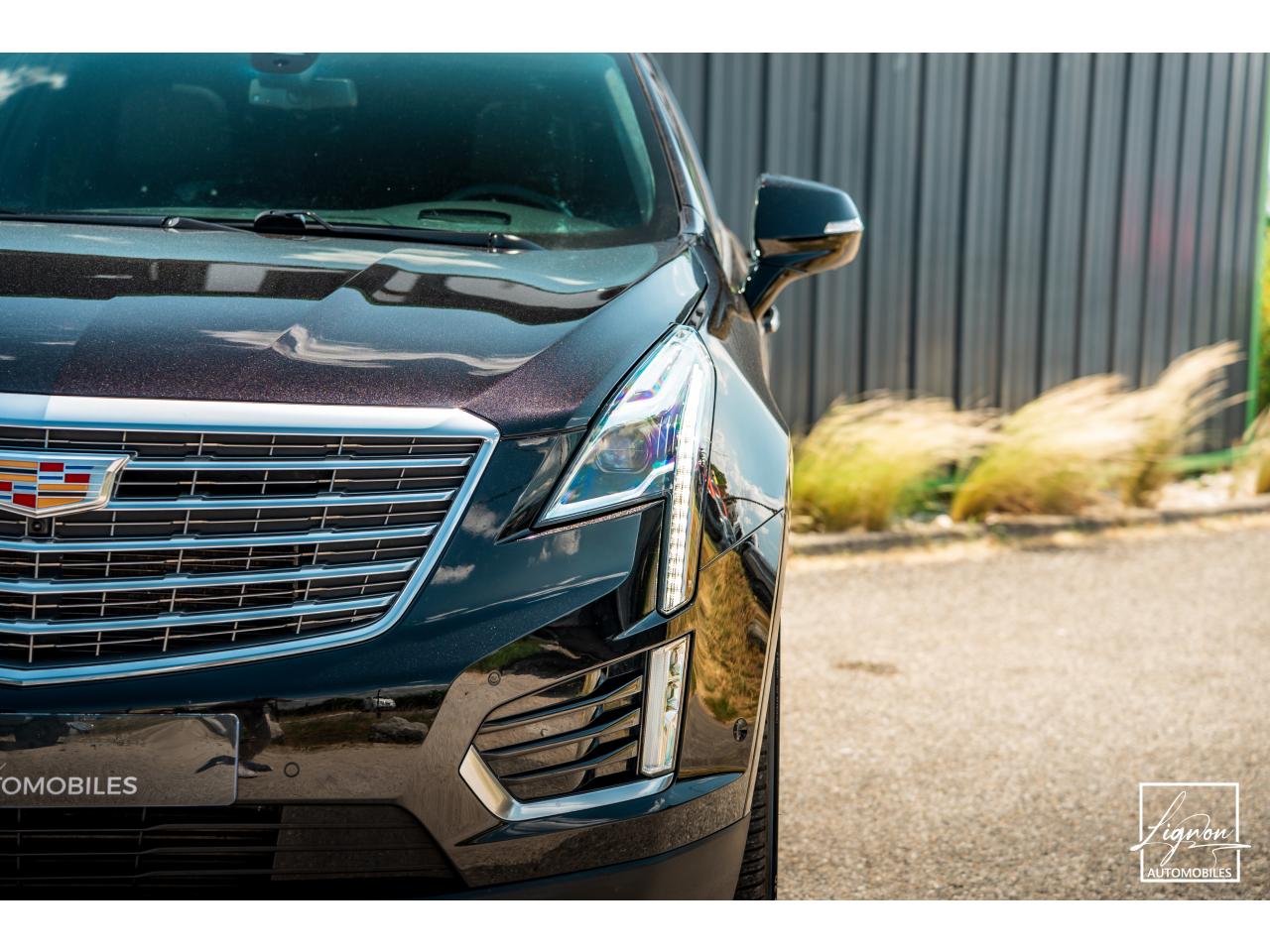 Photo CADILLAC XT5 Platinum 3.6 V6 AWD - BVA  - Bose Toit ouvrant Attelage