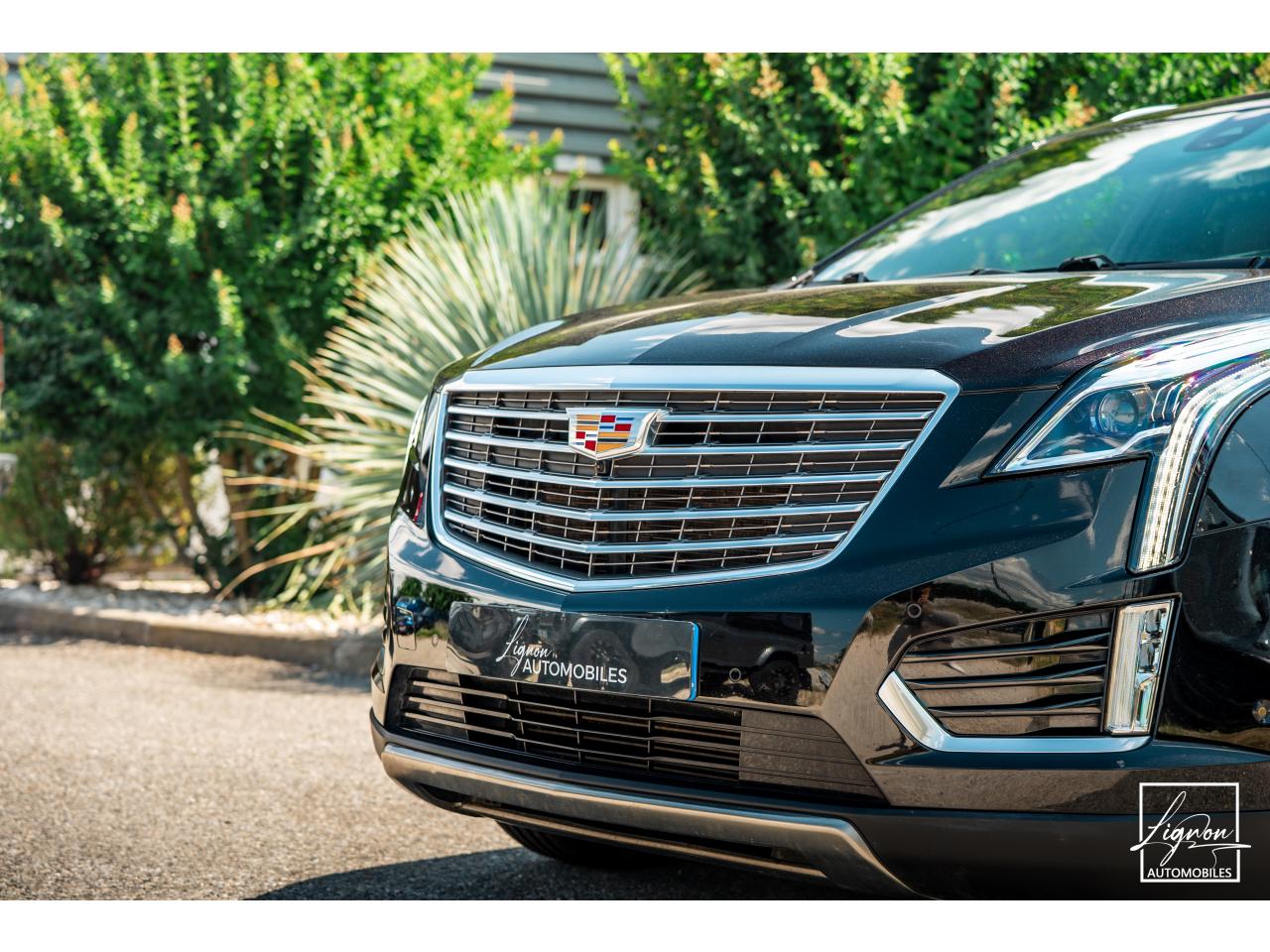 Photo CADILLAC XT5 Platinum 3.6 V6 AWD - BVA  - Bose Toit ouvrant Attelage