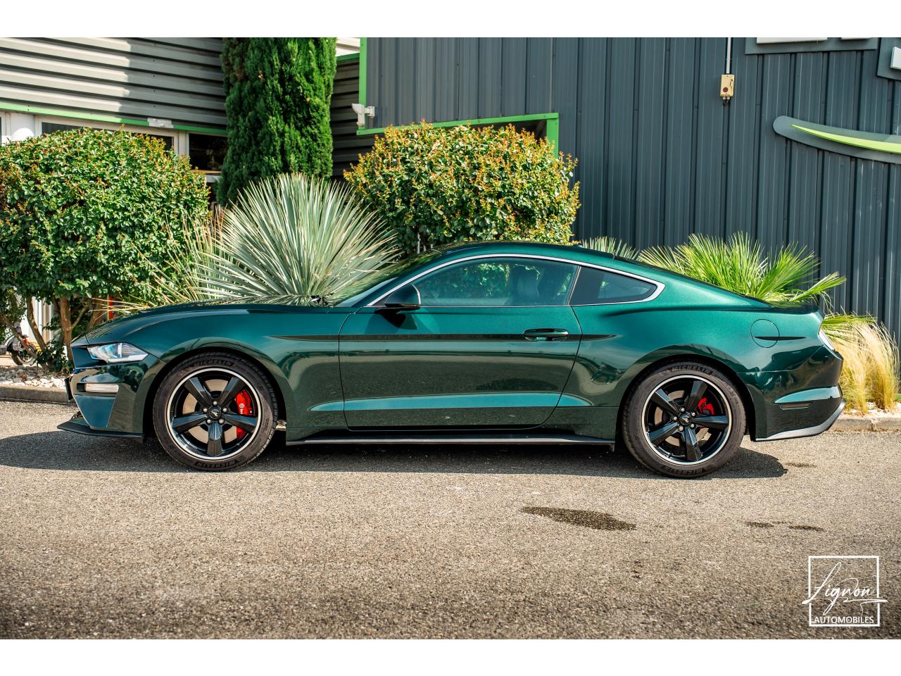 Photo FORD MUSTANG Bullitt Fastback 5.0 V8 - 460 - 14 000km seulement - à partir de 825 euros