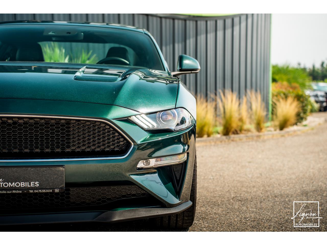 Photo FORD MUSTANG Bullitt Fastback 5.0 V8 - 460 - 14 000km seulement - à partir de 825 euros