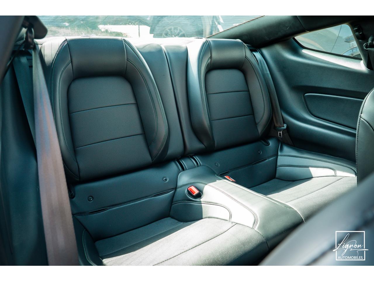 Photo FORD MUSTANG Bullitt Fastback 5.0 V8 - 460 - 14 000km seulement - à partir de 825 euros