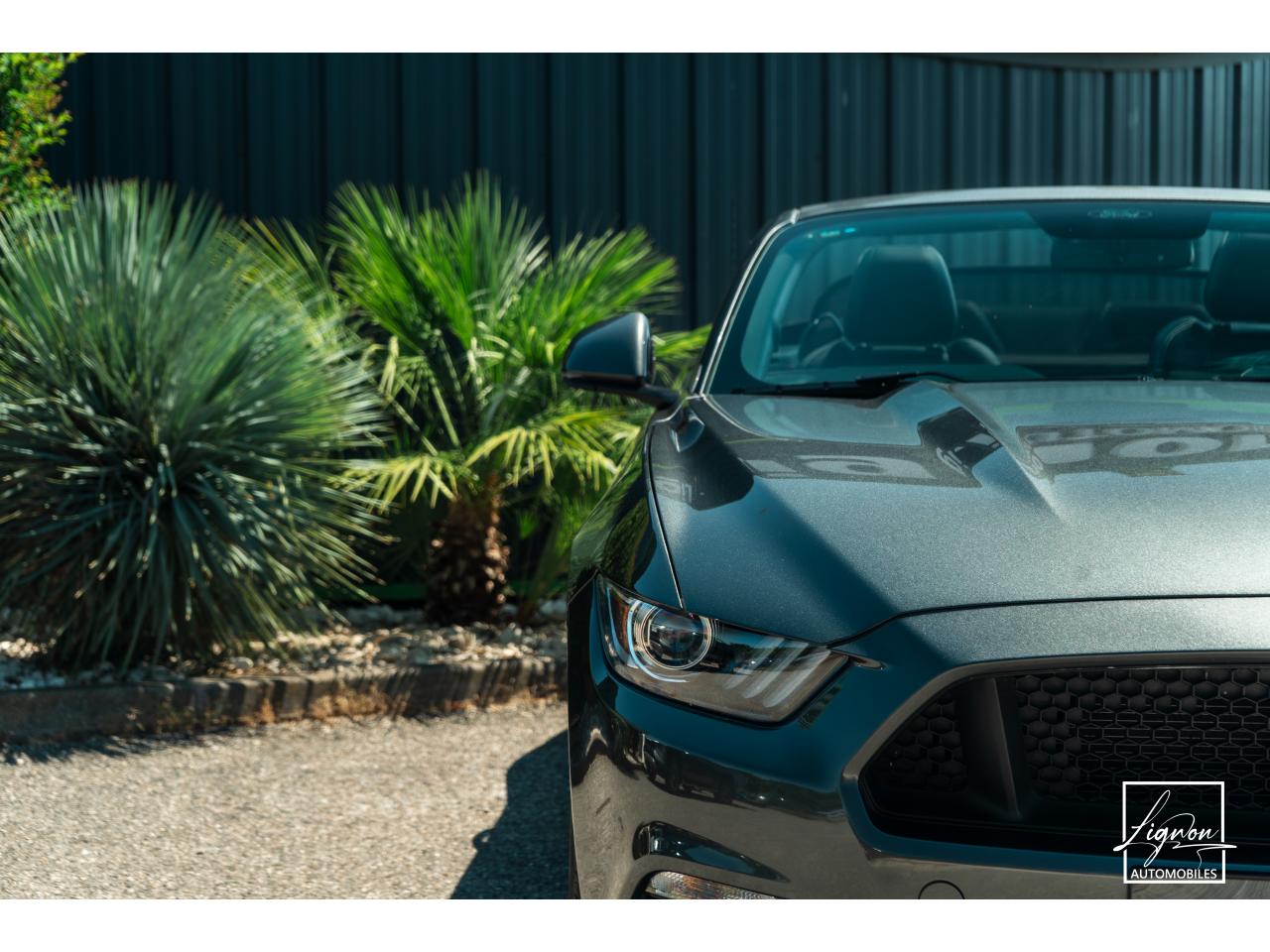 Photo FORD MUSTANG Cabriolet 5.0 V8 - 421 - BVA  GT - 1er main - à partir de 642 euros