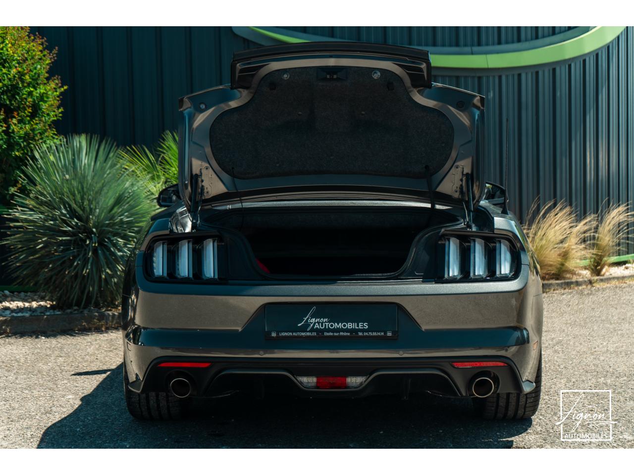 Photo FORD MUSTANG Cabriolet 5.0 V8 - 421 - BVA  GT - 1er main - à partir de 642 euros