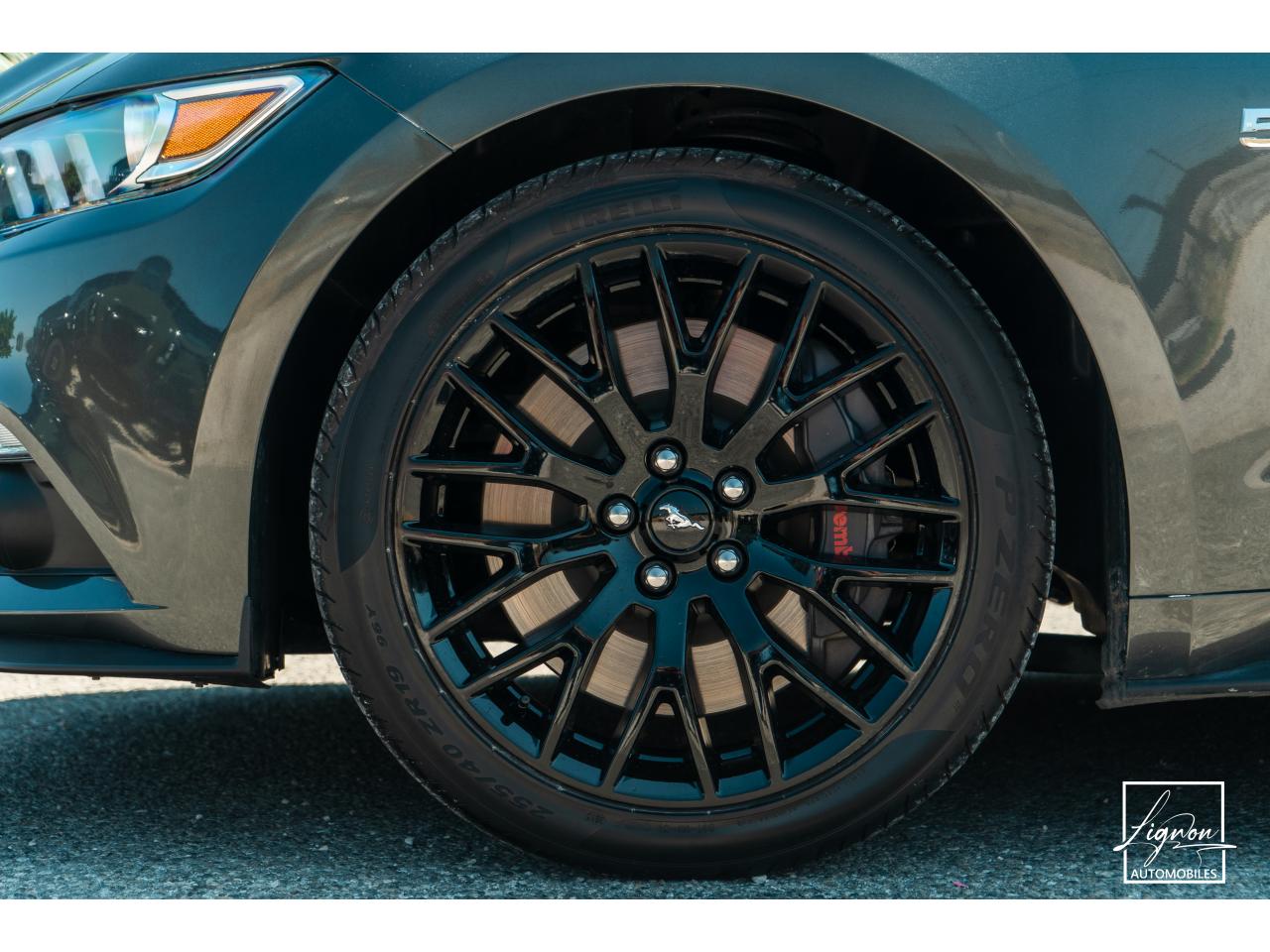 Photo FORD MUSTANG Cabriolet 5.0 V8 - 421 - BVA  GT - 1er main - à partir de 642 euros