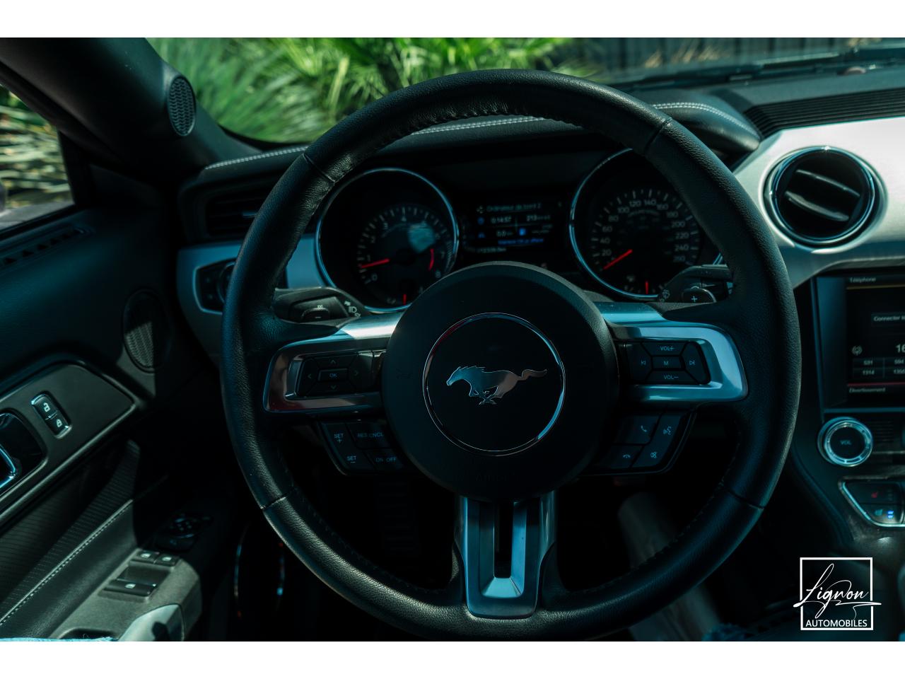 Photo FORD MUSTANG Cabriolet 5.0 V8 - 421 - BVA  GT - 1er main - à partir de 642 euros
