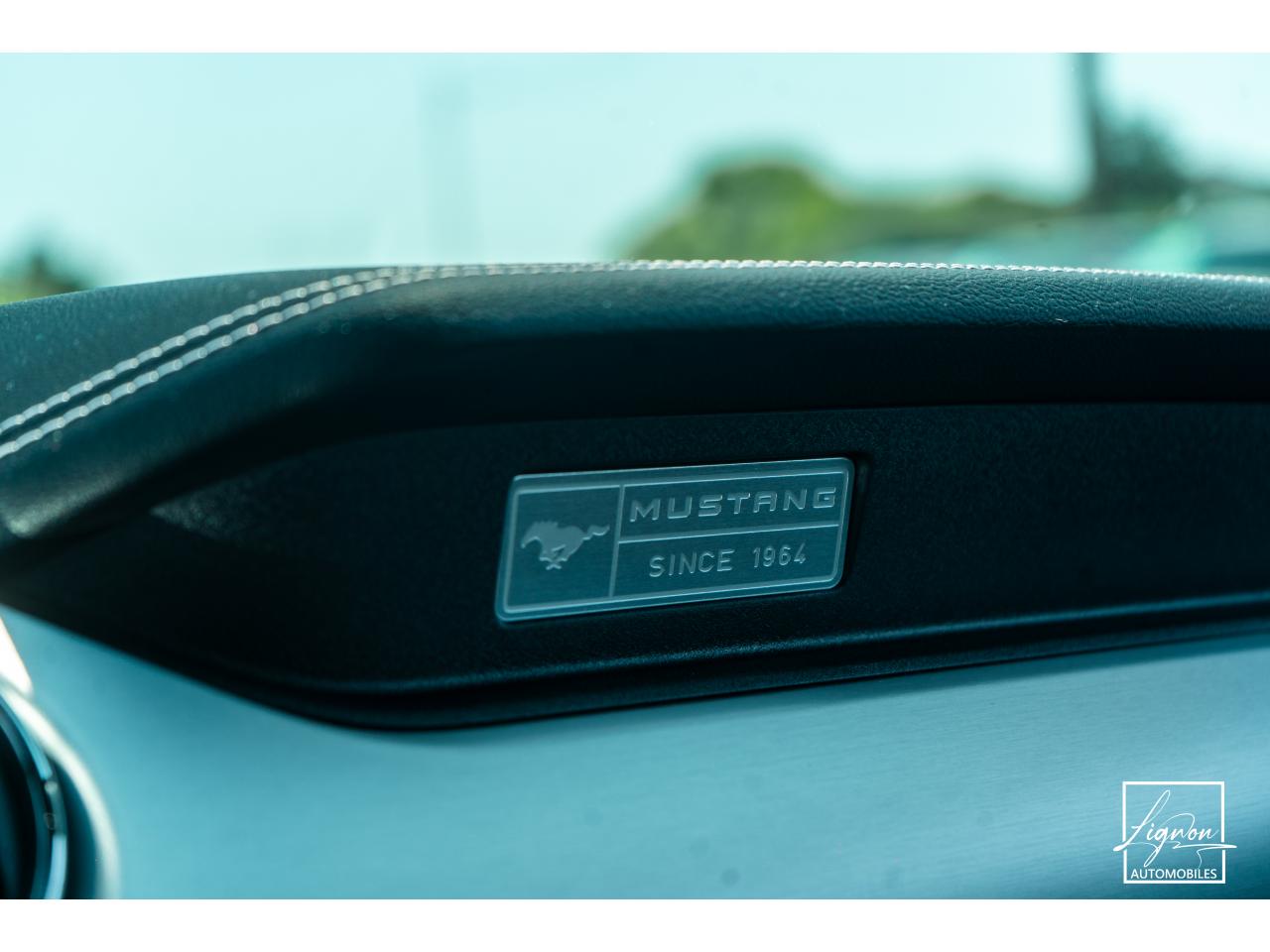 Photo FORD MUSTANG Cabriolet 5.0 V8 - 421 - BVA  GT - 1er main - à partir de 642 euros