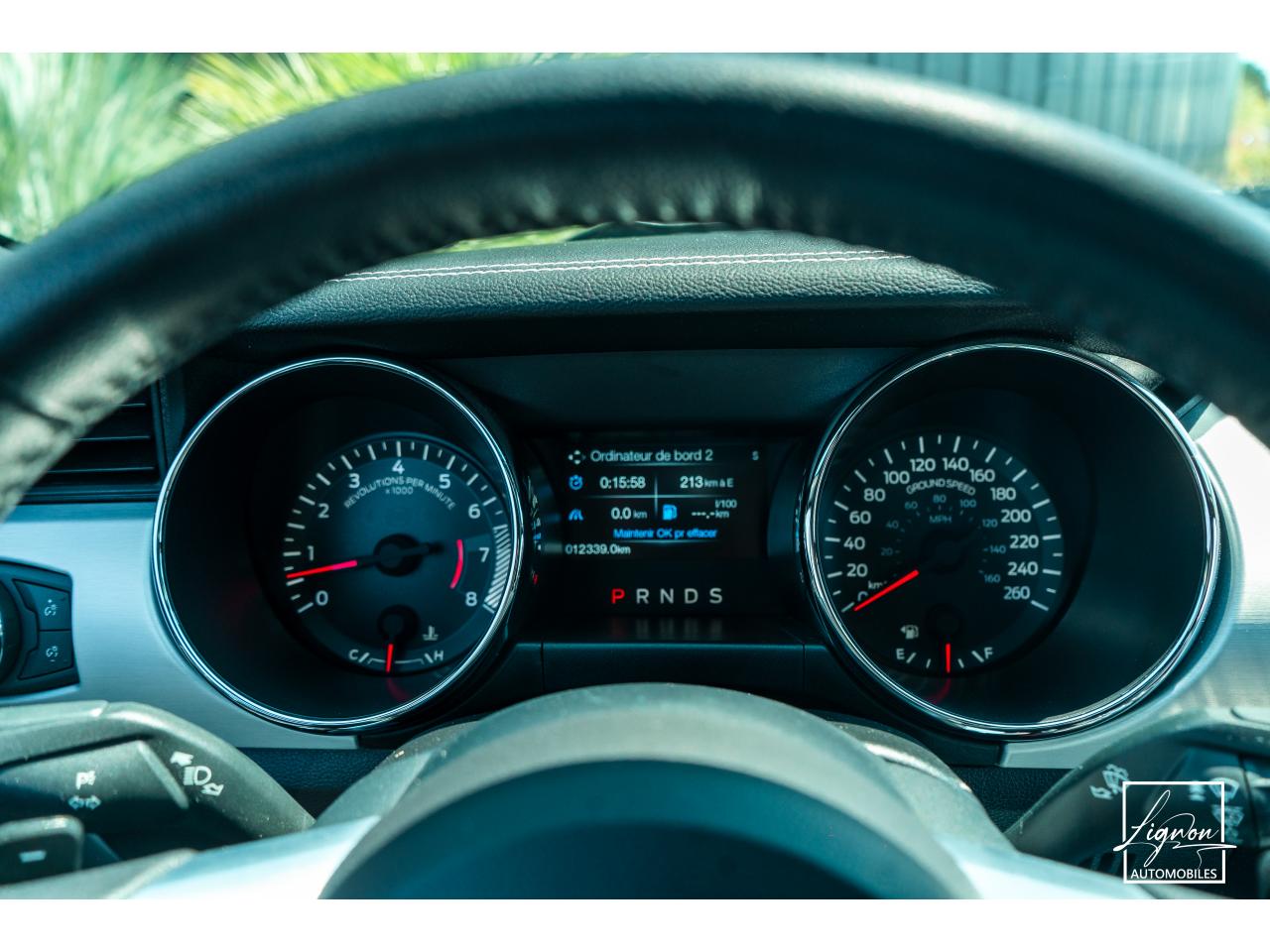 Photo FORD MUSTANG Cabriolet 5.0 V8 - 421 - BVA  GT - 1er main - à partir de 642 euros