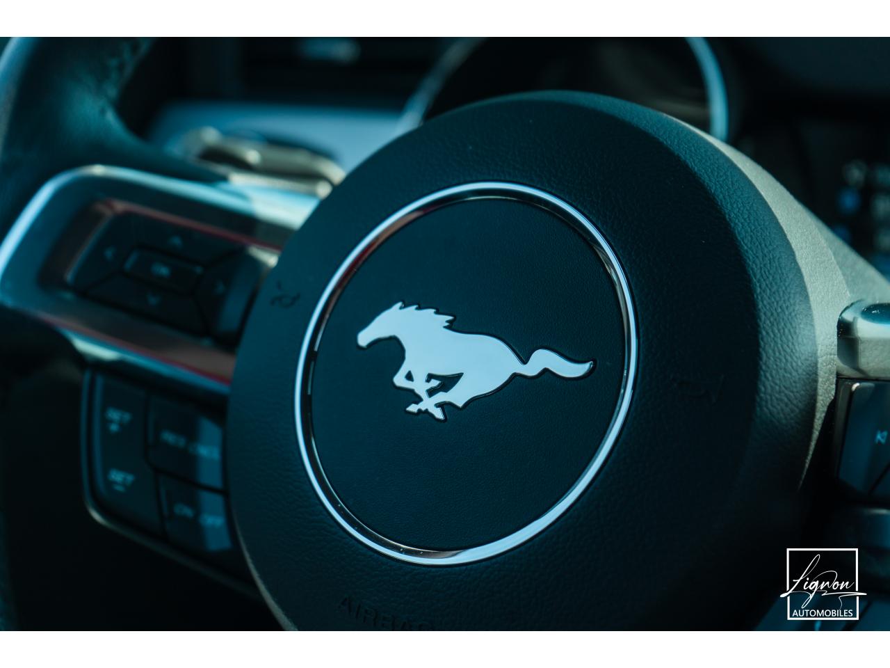 Photo FORD MUSTANG Cabriolet 5.0 V8 - 421 - BVA  GT - 1er main - à partir de 642 euros