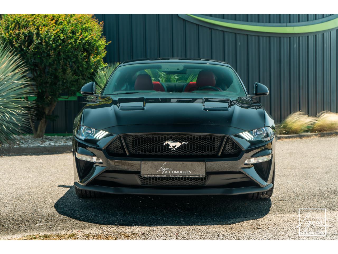 Photo FORD MUSTANG Fastback 5.0 V8 - 450 - BVA10  COUPE GT 1er main - à partir de 652 euros