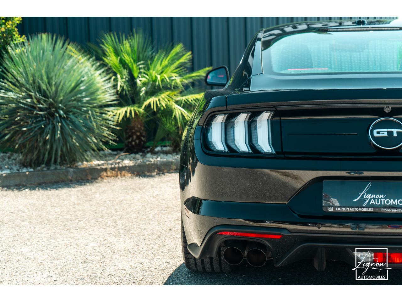 Photo FORD MUSTANG Fastback 5.0 V8 - 450 - BVA10  COUPE GT 1er main - à partir de 652 euros