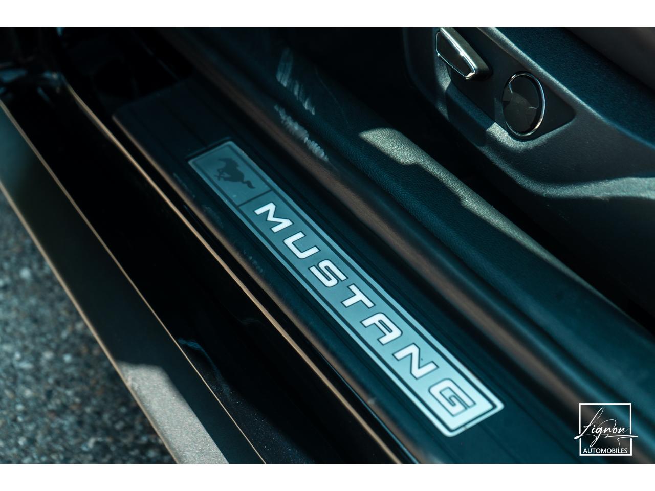 Photo FORD MUSTANG Fastback 5.0 V8 - 450 - BVA10  COUPE GT 1er main - à partir de 652 euros