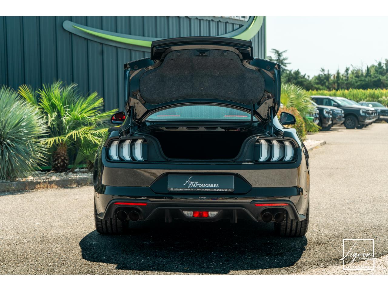Photo FORD MUSTANG Fastback 5.0 V8 - 450 - BVA10  COUPE GT 1er main - à partir de 652 euros