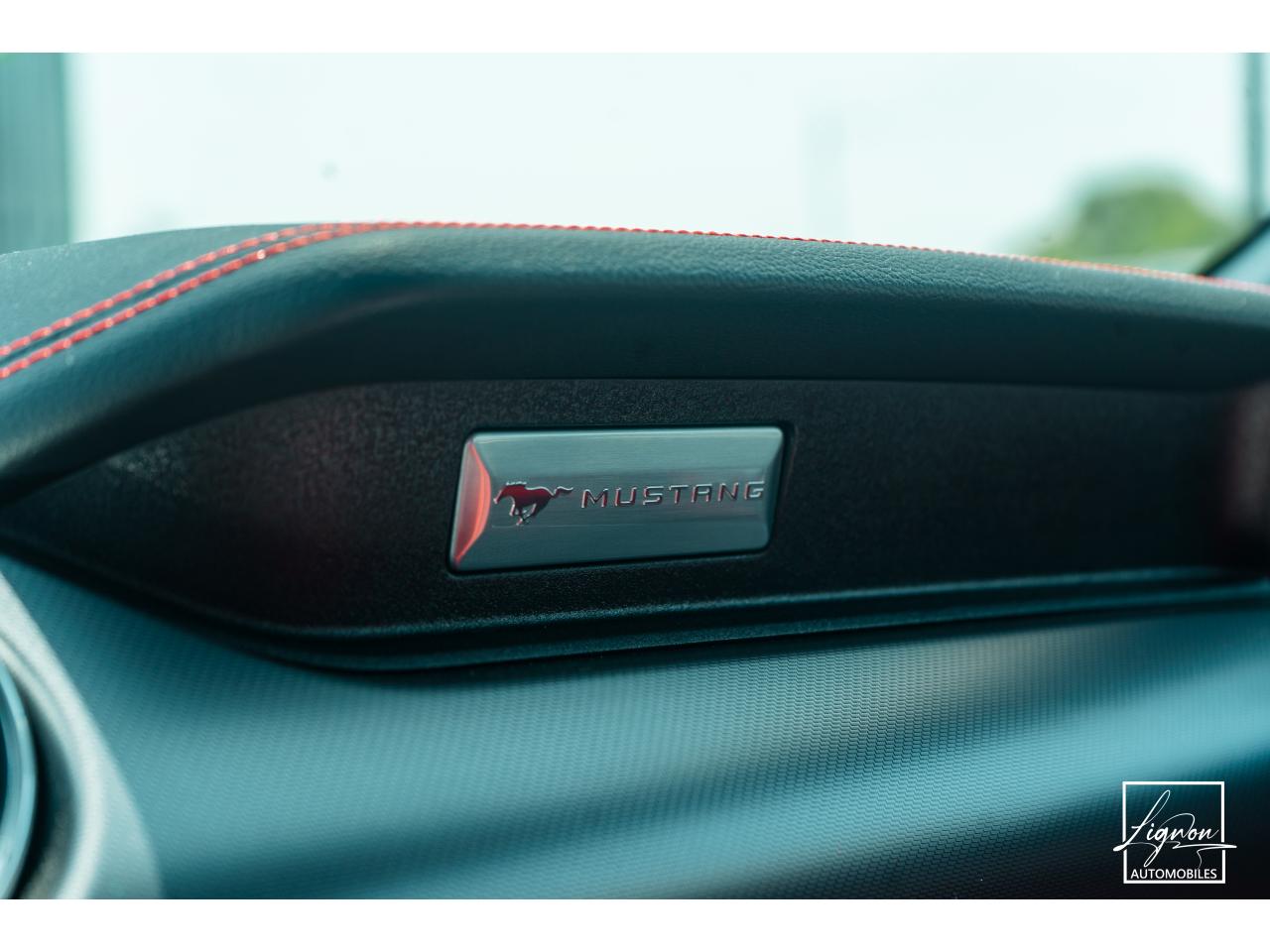 Photo FORD MUSTANG Fastback 5.0 V8 - 450 - BVA10  COUPE GT 1er main - à partir de 652 euros