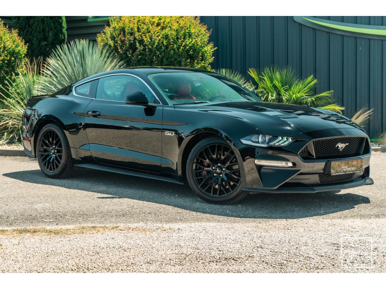 Photo FORD MUSTANG Fastback 5.0 V8 - 450 - BVA10  COUPE GT 1er main - à partir de 652 euros