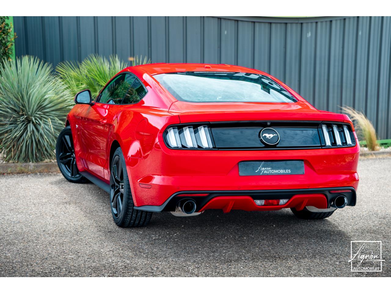 Photo FORD MUSTANG Fastback 2.3 EcoBoost 317 ch - à partir de 469 euros