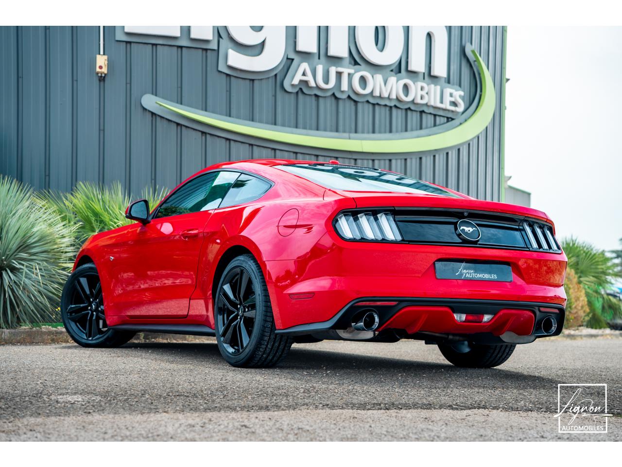 Photo FORD MUSTANG Fastback 2.3 EcoBoost 317 ch - à partir de 469 euros
