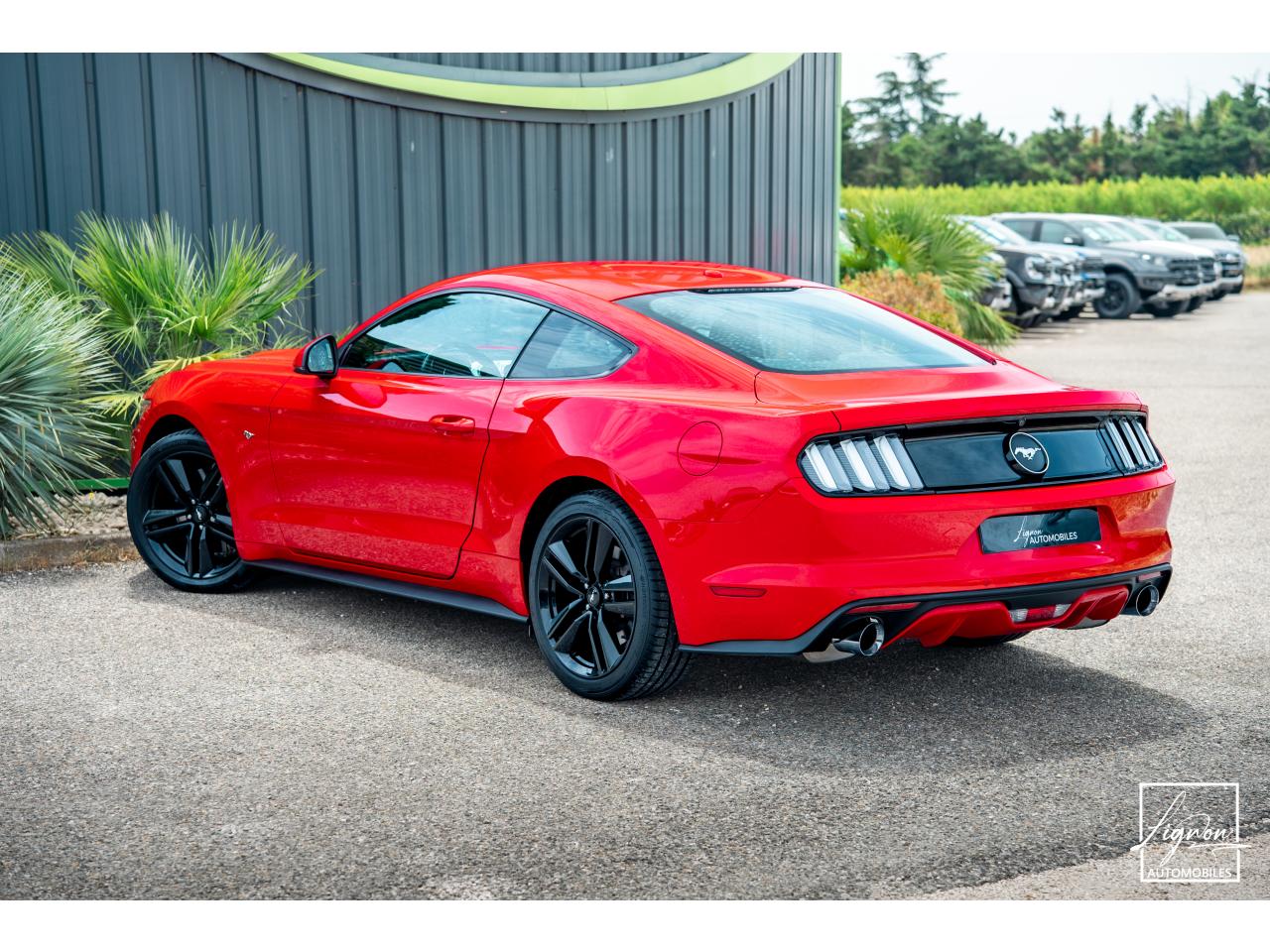 Photo FORD MUSTANG Fastback 2.3 EcoBoost 317 ch - à partir de 469 euros