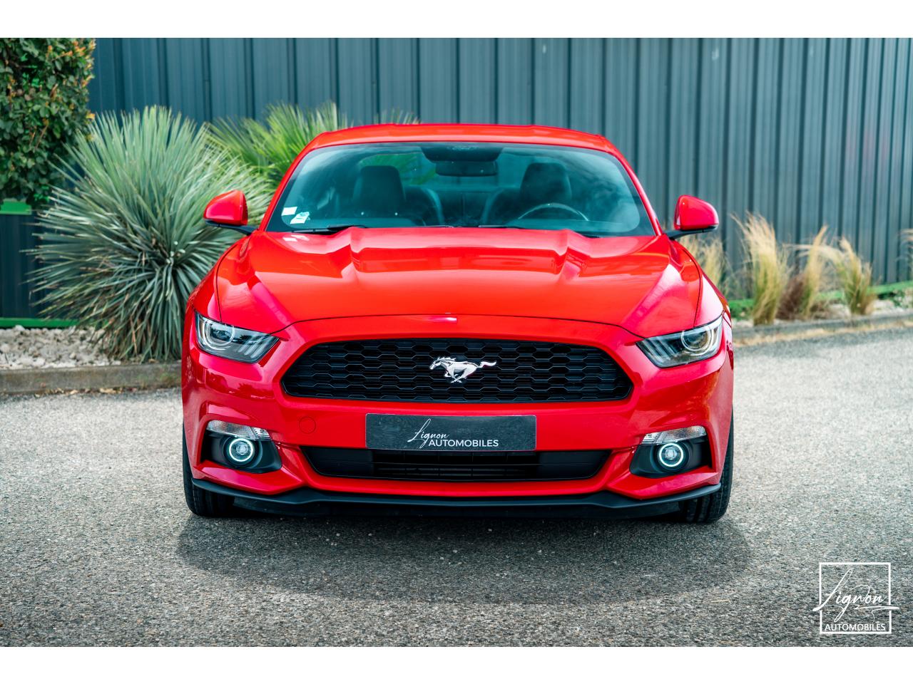 Photo FORD MUSTANG Fastback 2.3 EcoBoost 317 ch - à partir de 469 euros