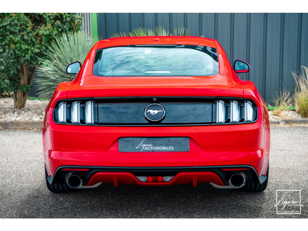 Photo FORD MUSTANG Fastback 2.3 EcoBoost 317 ch - à partir de 469 euros