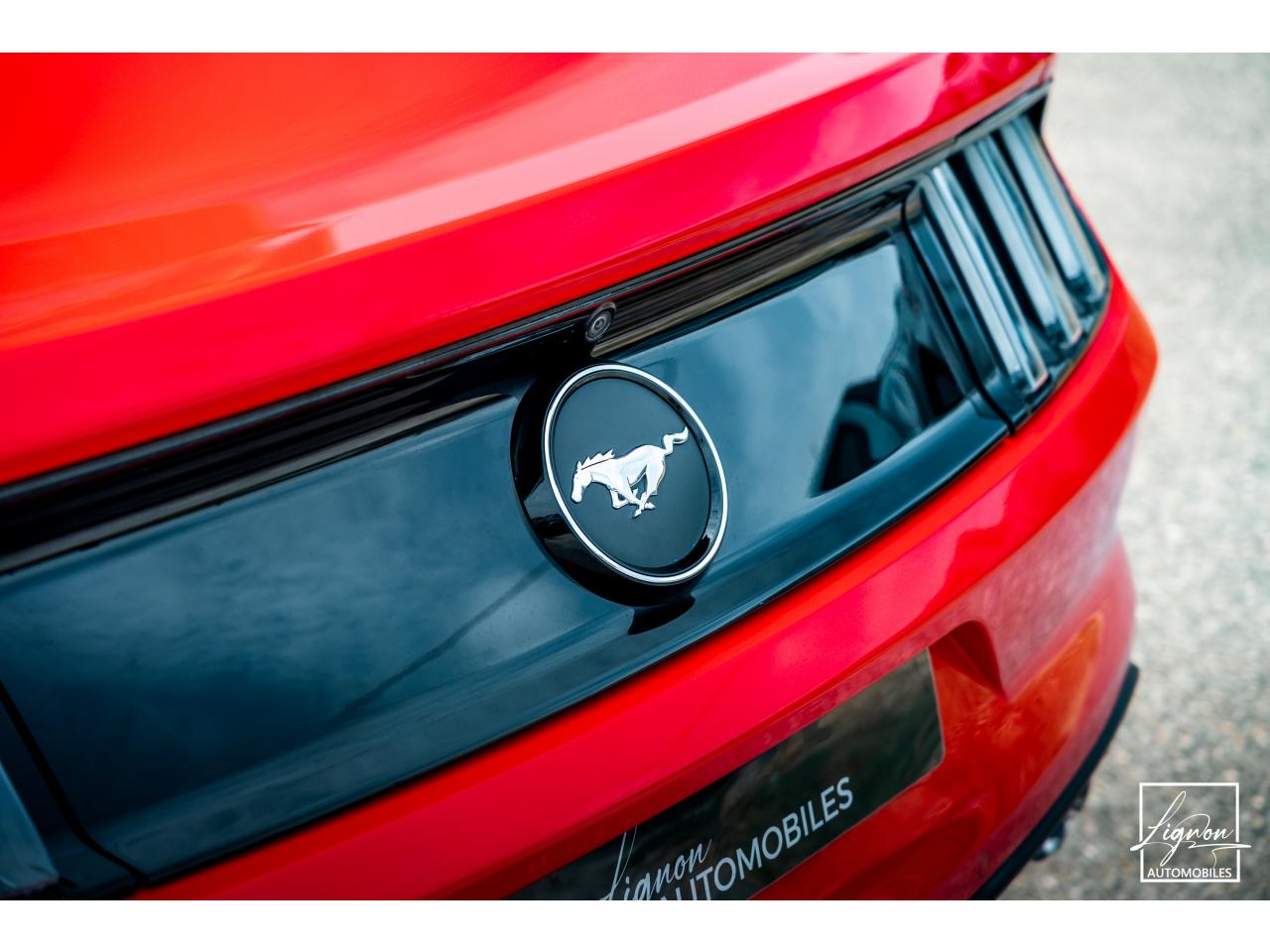 Photo FORD MUSTANG Fastback 2.3 EcoBoost 317 ch - à partir de 469 euros