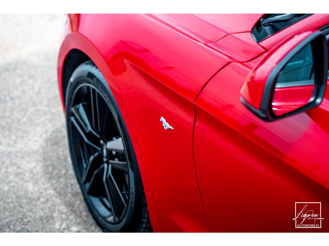 Photo FORD MUSTANG Fastback 2.3 EcoBoost 317 ch - à partir de 469 euros