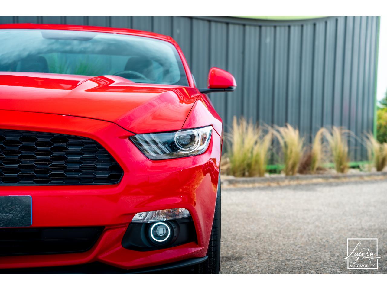 Photo FORD MUSTANG Fastback 2.3 EcoBoost 317 ch - à partir de 469 euros