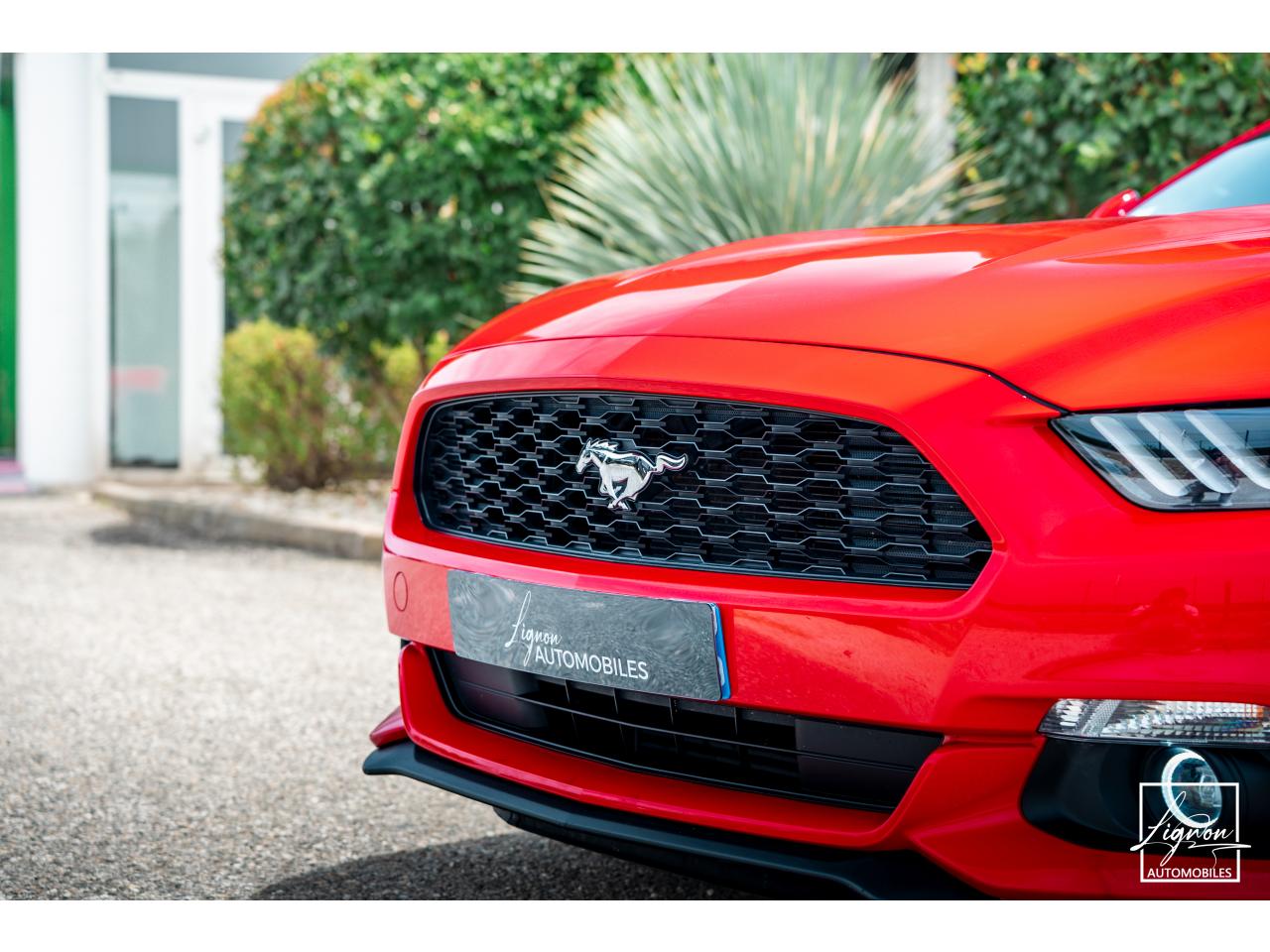 Photo FORD MUSTANG Fastback 2.3 EcoBoost 317 ch - à partir de 469 euros