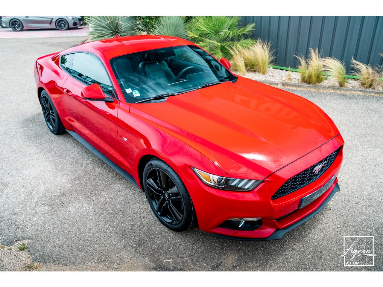 Photo FORD MUSTANG Fastback 2.3 EcoBoost 317 ch - à partir de 469 euros