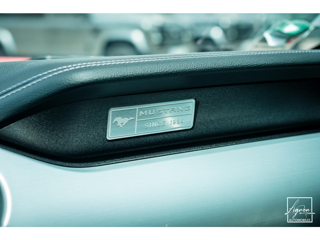 Photo FORD MUSTANG Fastback 2.3 EcoBoost 317 ch - à partir de 469 euros