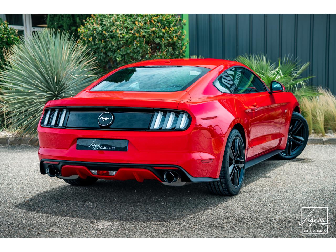 Photo FORD MUSTANG Fastback 2.3 EcoBoost 317 ch - à partir de 469 euros