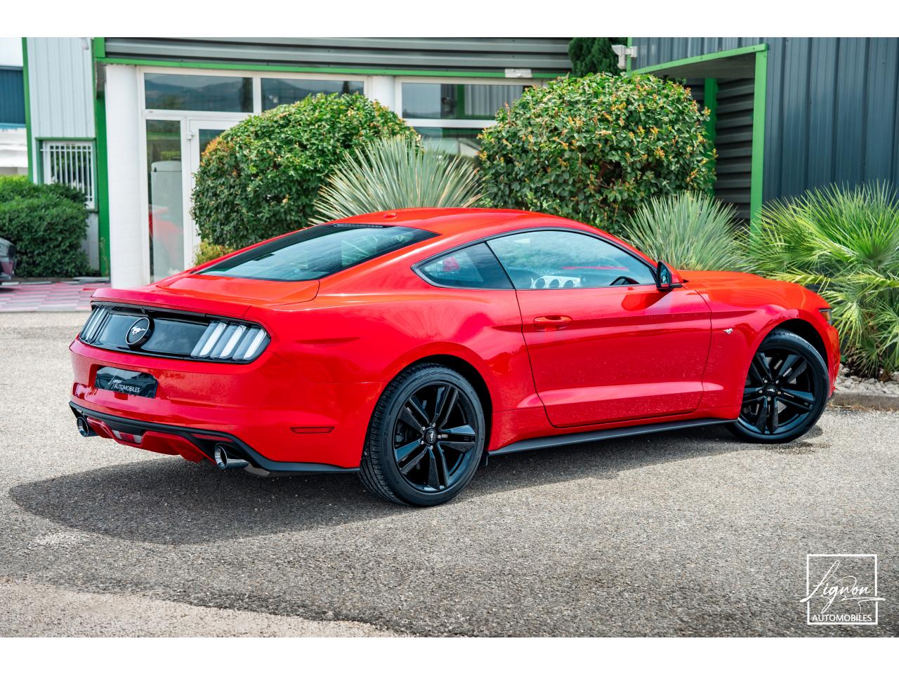 Photo FORD MUSTANG Fastback 2.3 EcoBoost 317 ch - à partir de 469 euros