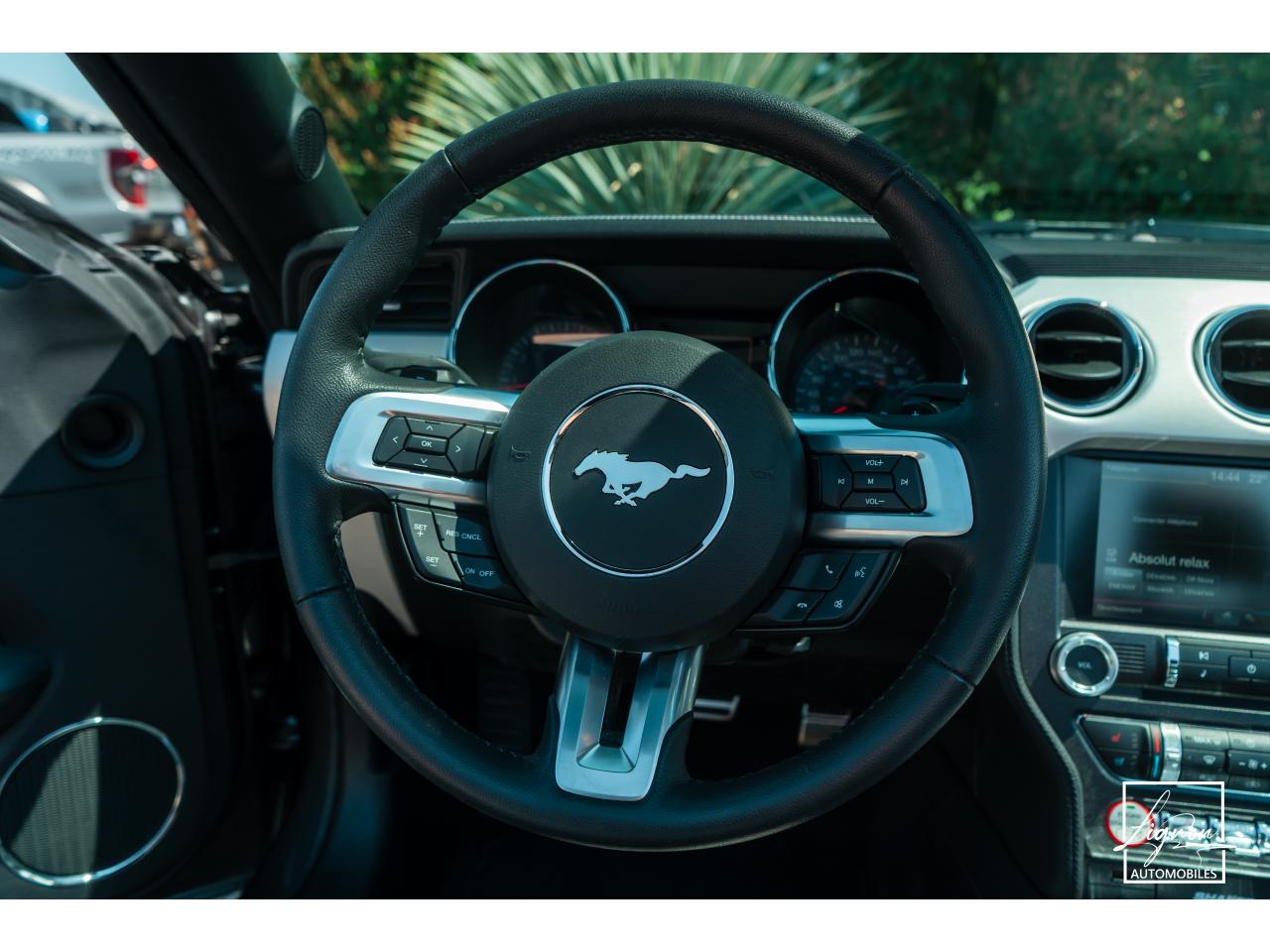 Photo FORD MUSTANG Cabriolet 5.0 V8 - 421 - BVA6 GT Pack Premium - 1er main