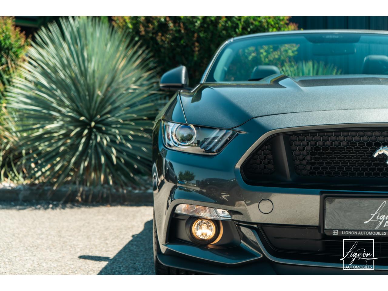 Photo FORD MUSTANG Cabriolet 5.0 V8 - 421 - BVA6 GT Pack Premium - 1er main