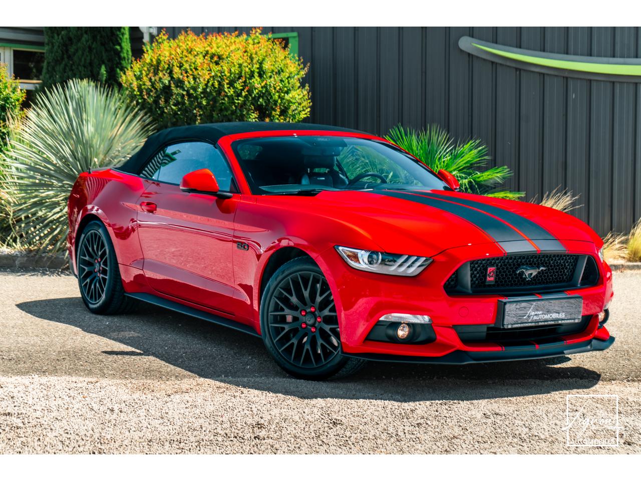 Photo FORD MUSTANG Cabriolet 5.0 V8 421 - BVA  GT  - CAMERA CARPLAY PACK PREMIUM - à partir de 571 euros