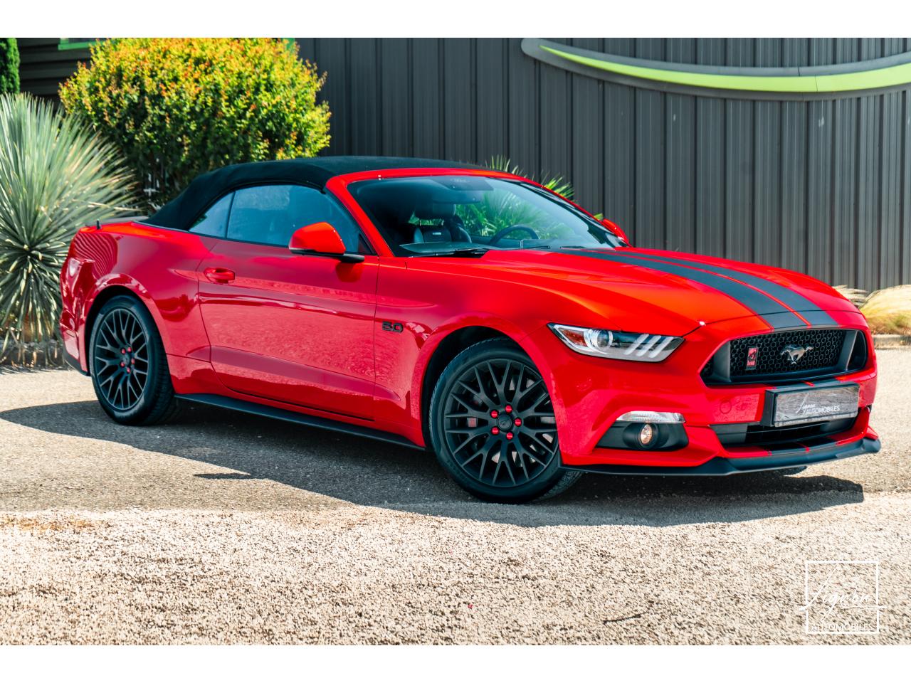 Photo FORD MUSTANG Cabriolet 5.0 V8 421 - BVA  GT  - CAMERA CARPLAY PACK PREMIUM - à partir de 571 euros