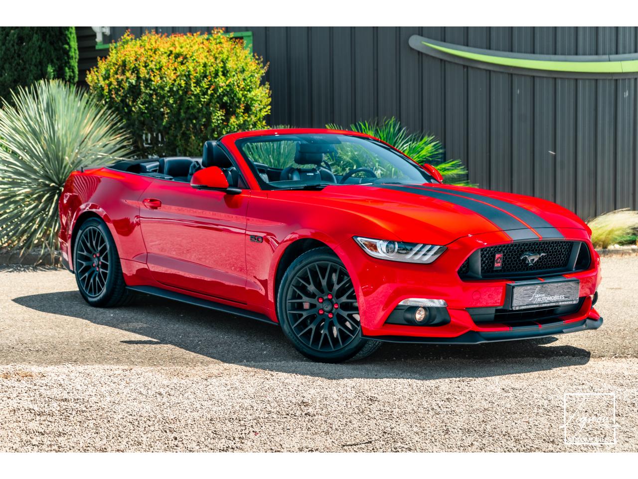 Photo FORD MUSTANG Cabriolet 5.0 V8 421 - BVA  GT  - CAMERA CARPLAY PACK PREMIUM - à partir de 571 euros