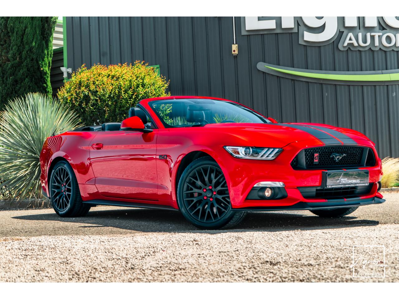 Photo FORD MUSTANG Cabriolet 5.0 V8 421 - BVA  GT  - CAMERA CARPLAY PACK PREMIUM - à partir de 571 euros
