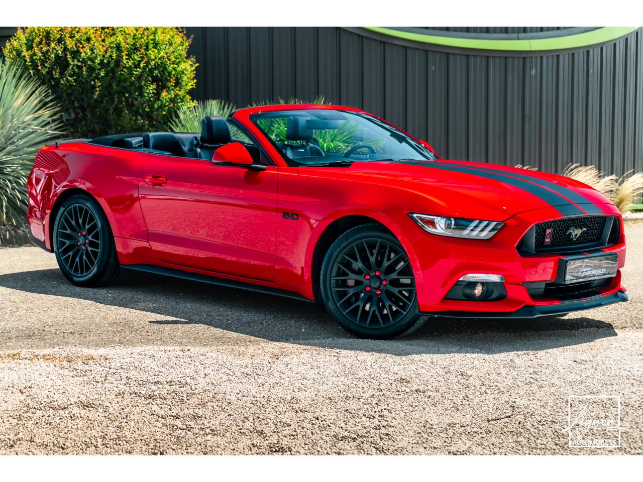 Photo FORD MUSTANG Cabriolet 5.0 V8 421 - BVA  GT  - CAMERA CARPLAY PACK PREMIUM - à partir de 571 euros