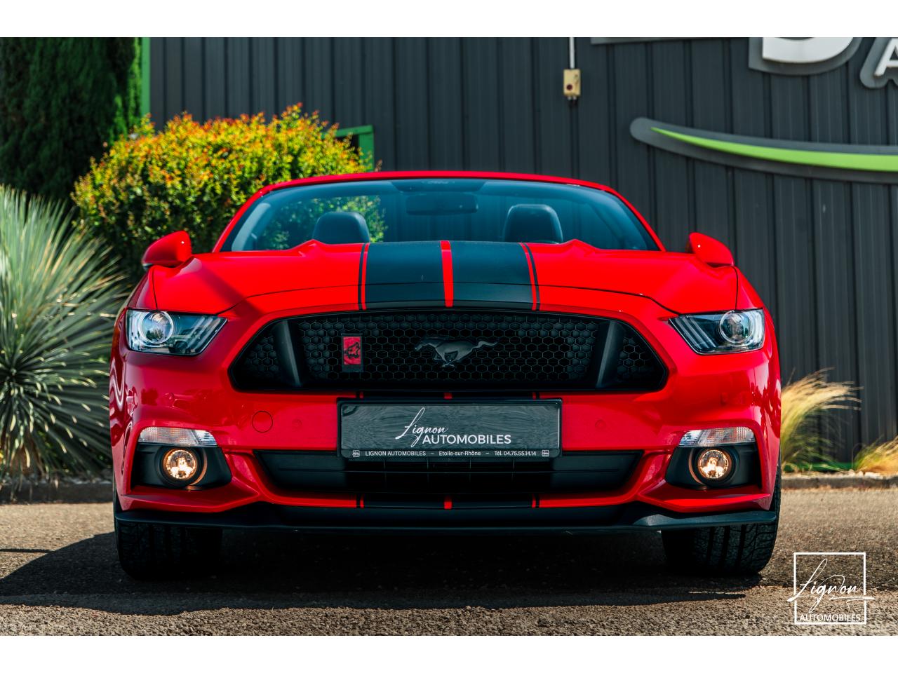 Photo FORD MUSTANG Cabriolet 5.0 V8 421 - BVA  GT  - CAMERA CARPLAY PACK PREMIUM - à partir de 571 euros