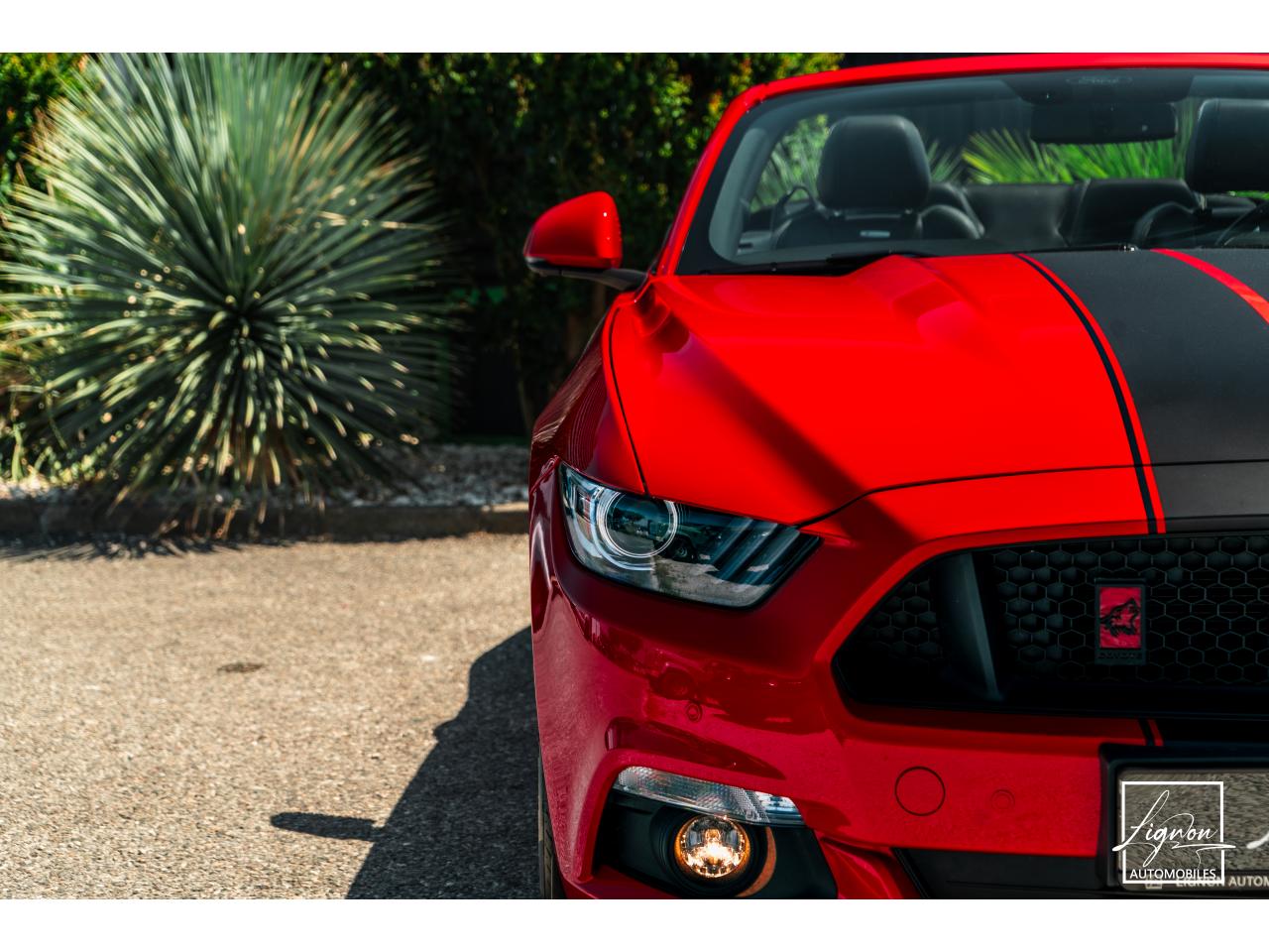 Photo FORD MUSTANG Cabriolet 5.0 V8 421 - BVA  GT  - CAMERA CARPLAY PACK PREMIUM - à partir de 571 euros