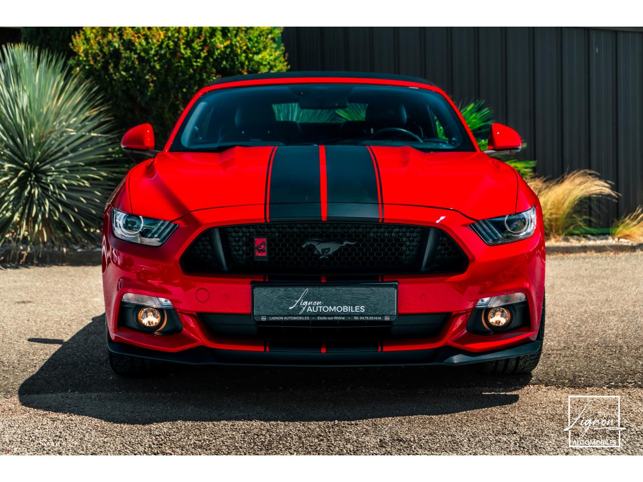 Photo FORD MUSTANG Cabriolet 5.0 V8 421 - BVA  GT  - CAMERA CARPLAY PACK PREMIUM - à partir de 571 euros