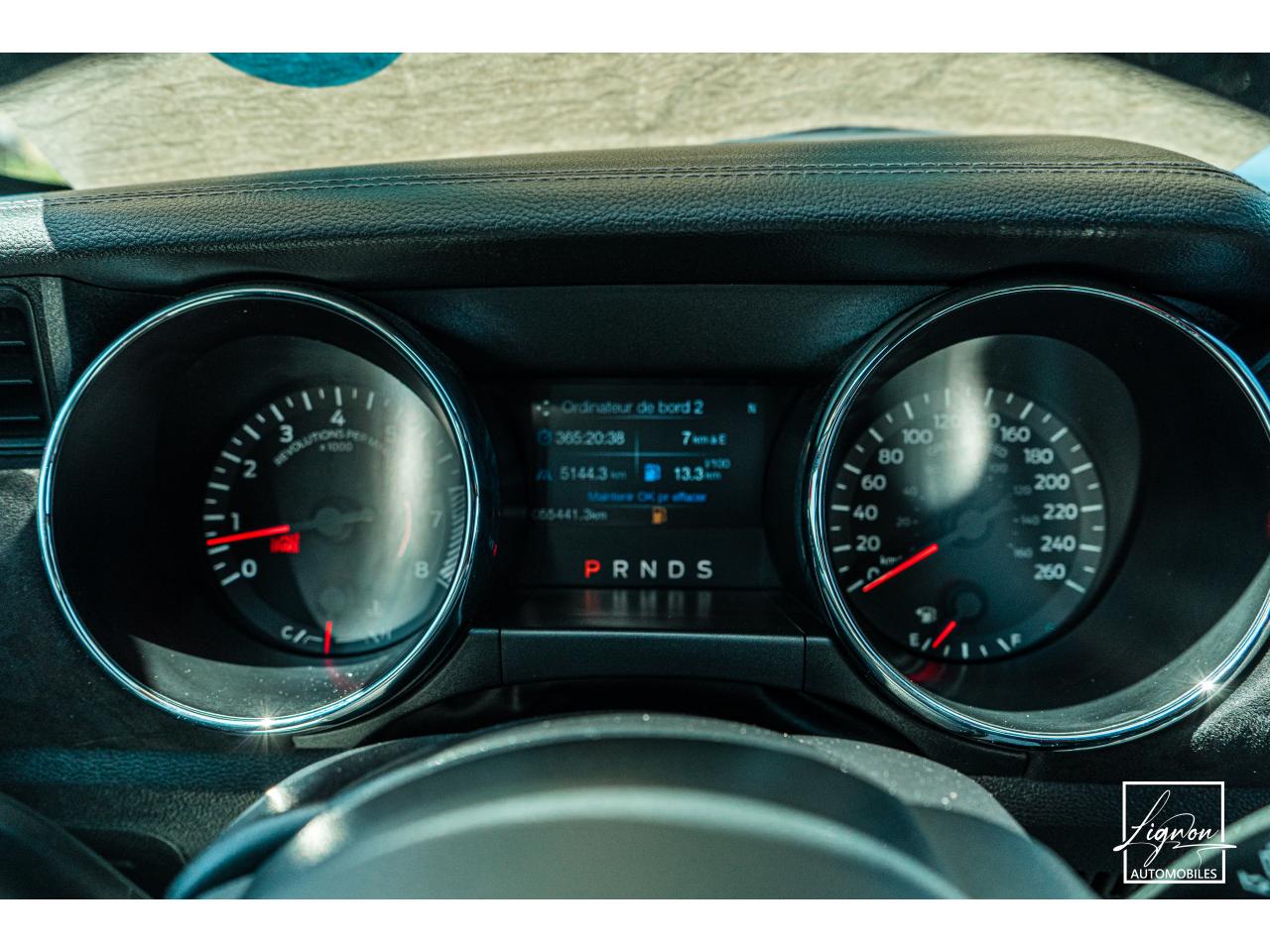 Photo FORD MUSTANG Cabriolet 5.0 V8 421 - BVA  GT  - CAMERA CARPLAY PACK PREMIUM - à partir de 571 euros
