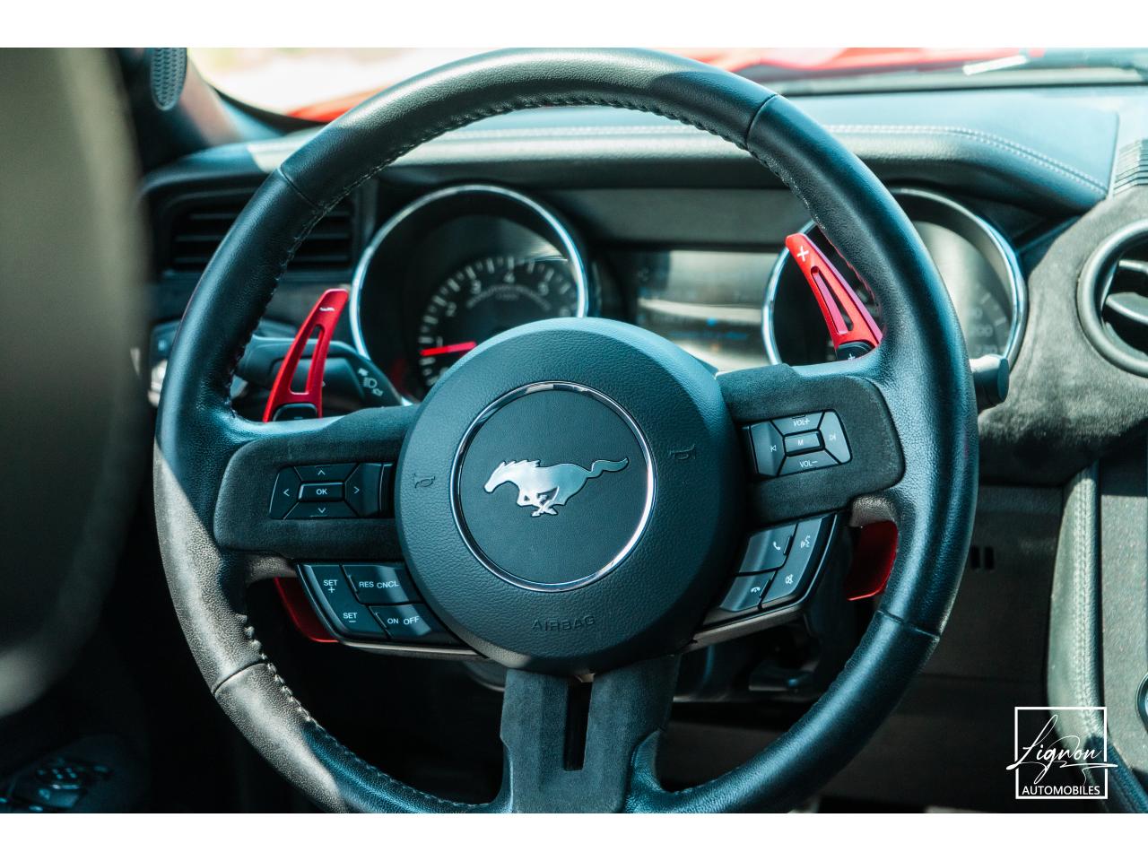 Photo FORD MUSTANG Cabriolet 5.0 V8 421 - BVA  GT  - CAMERA CARPLAY PACK PREMIUM - à partir de 571 euros