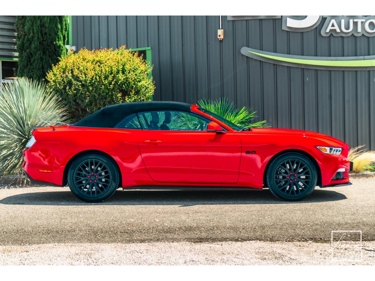 FORD MUSTANG Cabriolet 5.0 V8 421 - BVA  GT  - CAMERA CARPLAY PACK PREMIUM - à partir de 571 euros