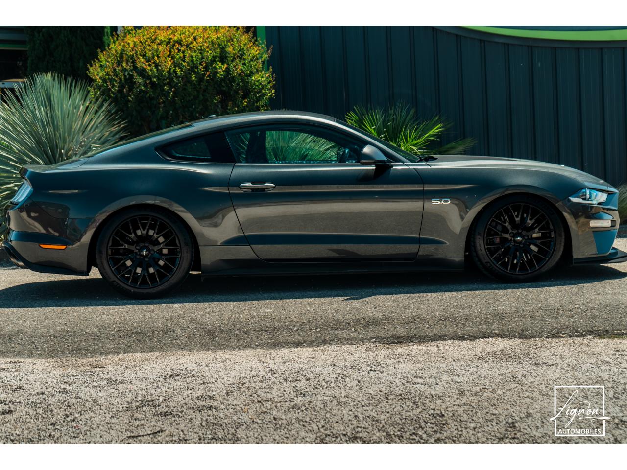 Photo FORD MUSTANG Fastback 5.0 V8 - BVM6 - 450  -  RECARO - 1er Main - à partir de 724 euros