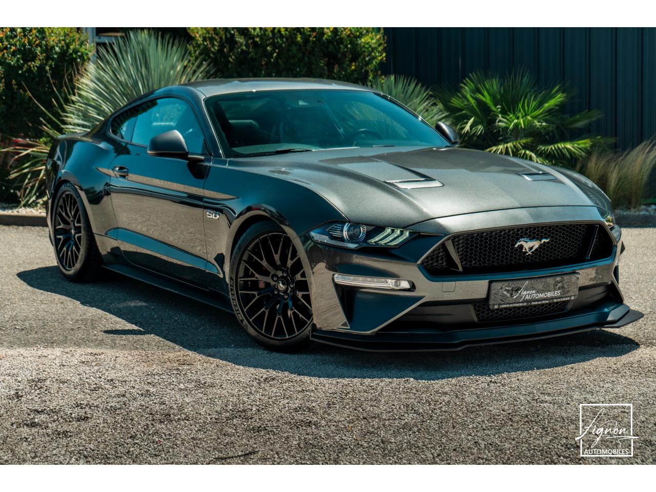 Photo FORD MUSTANG Fastback 5.0 V8 - BVM6 - 450  -  RECARO - 1er Main - à partir de 724 euros