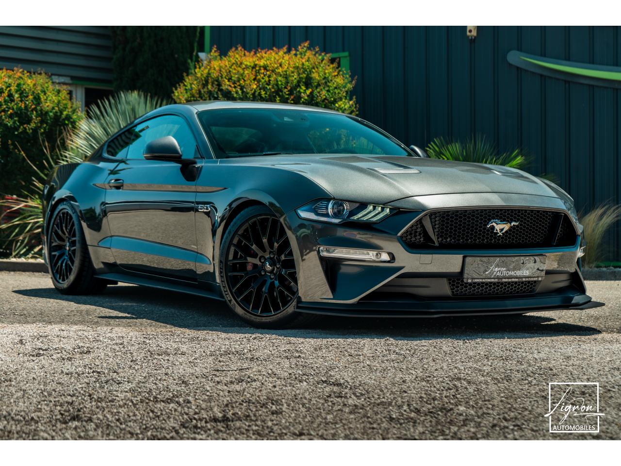 Photo FORD MUSTANG Fastback 5.0 V8 - BVM6 - 450  -  RECARO - 1er Main - à partir de 724 euros
