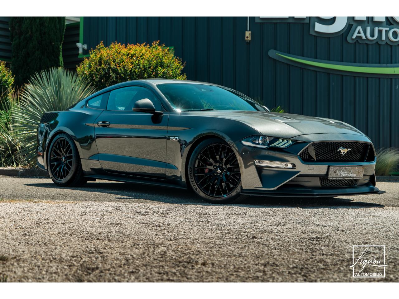Photo FORD MUSTANG Fastback 5.0 V8 - BVM6 - 450  -  RECARO - 1er Main - à partir de 724 euros