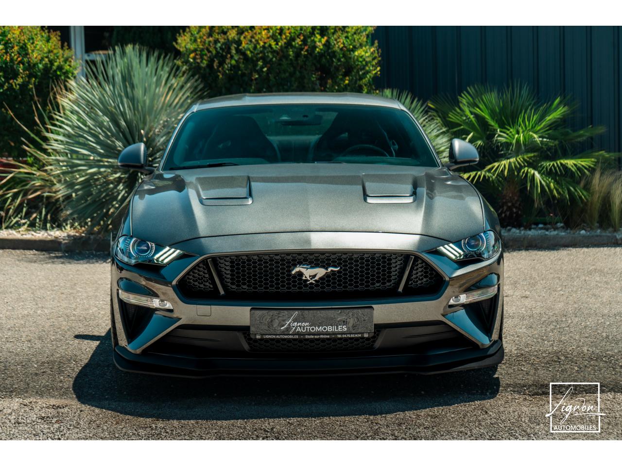 Photo FORD MUSTANG Fastback 5.0 V8 - BVM6 - 450  -  RECARO - 1er Main - à partir de 724 euros